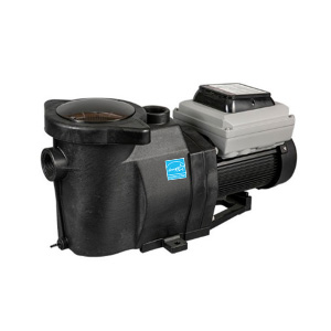 Blueworks BLPVS1515H Variable Speed Pump